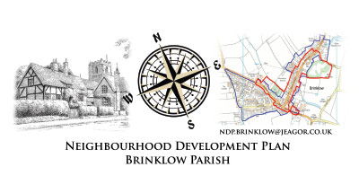 Neighbourhood Plan Questionnaire