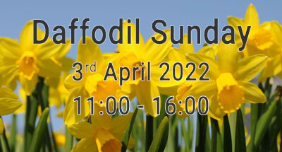 Daffodil Sunday 3rd April