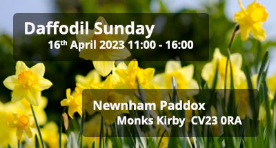 Daffodil Sunday 2023